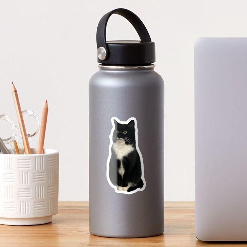 Item preview, Glossy Sticker designed and sold by MyCatJyn.