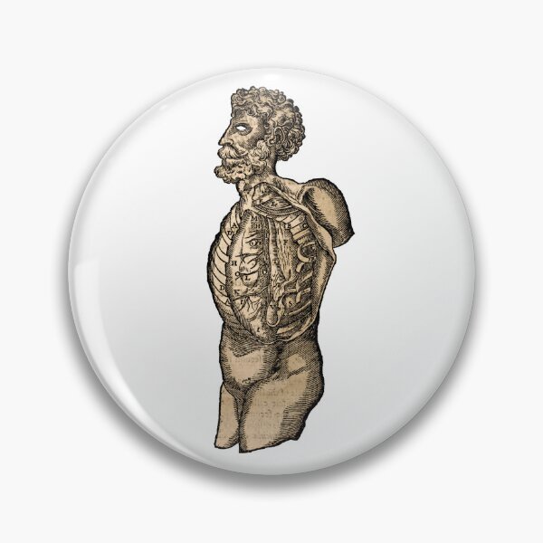 Item preview, Vintage Human Torso Anatomy Illustration  designed and sold by HawthorneFlame.