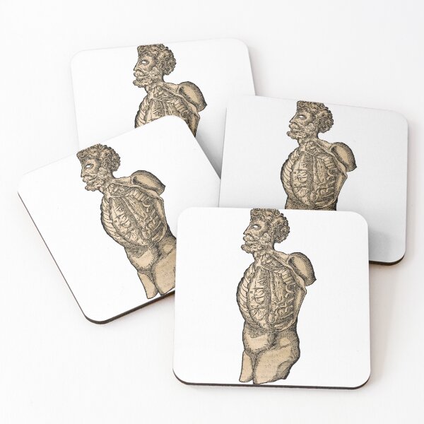 Item preview, Vintage Human Torso Anatomy Illustration  designed and sold by HawthorneFlame.