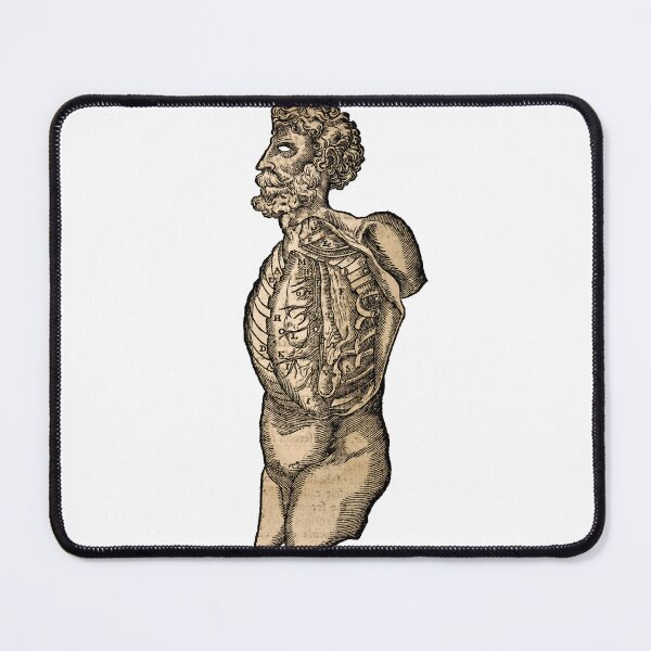 Item preview, Vintage Human Torso Anatomy Illustration designed and sold by HawthorneFlame.