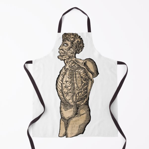 Item preview, Vintage Human Torso Anatomy Illustration designed and sold by HawthorneFlame.
