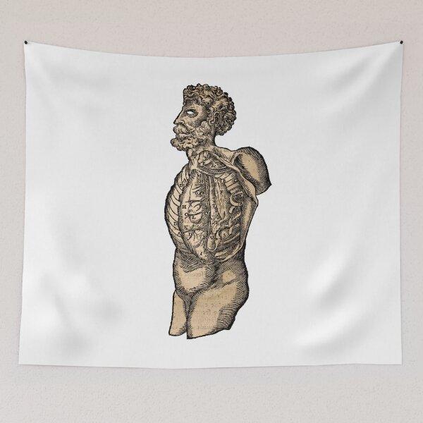 Item preview, Vintage Human Torso Anatomy Illustration  designed and sold by HawthorneFlame.