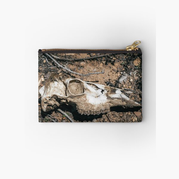 Item preview, Animal Skull designed and sold by Marissa Mancini.