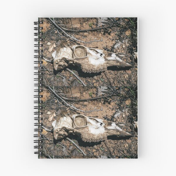 Item preview, Animal Skull designed and sold by Marissa Mancini.
