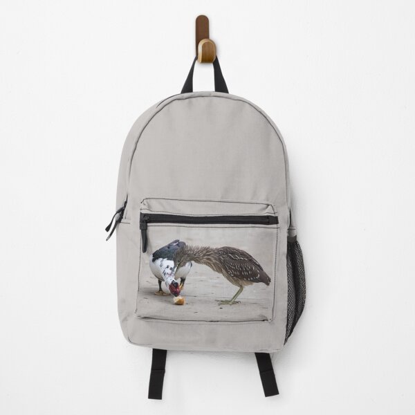Item preview, Black-crowned Night Heron (juvenile) and Muscovy Duck designed and sold by CarolM.