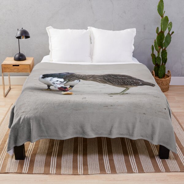 Item preview, Black-crowned Night Heron (juvenile) and Muscovy Duck designed and sold by CarolM.