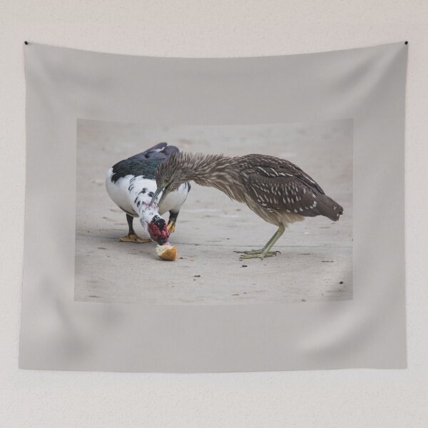 Item preview, Black-crowned Night Heron (juvenile) and Muscovy Duck designed and sold by CarolM.
