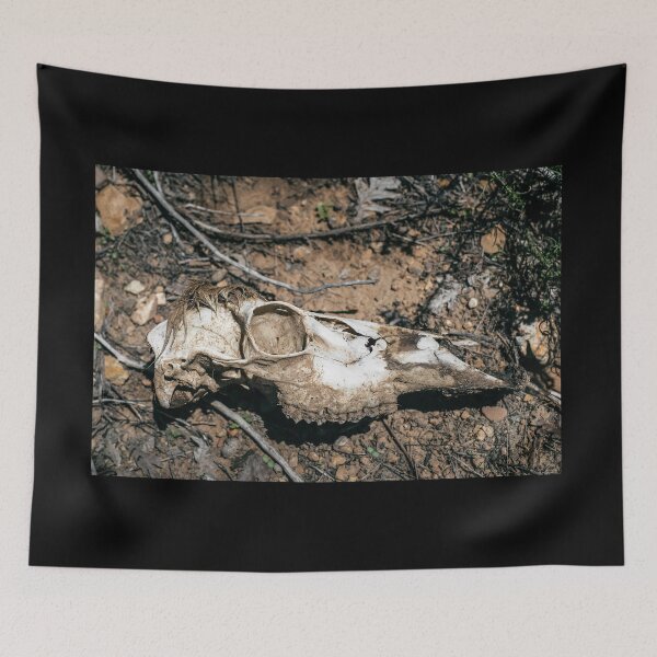 Item preview, Animal Skull designed and sold by Marissa Mancini.