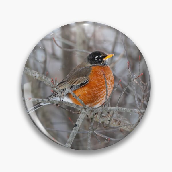 Item preview, Robin in the Snow designed and sold by Split2ndPhotos.