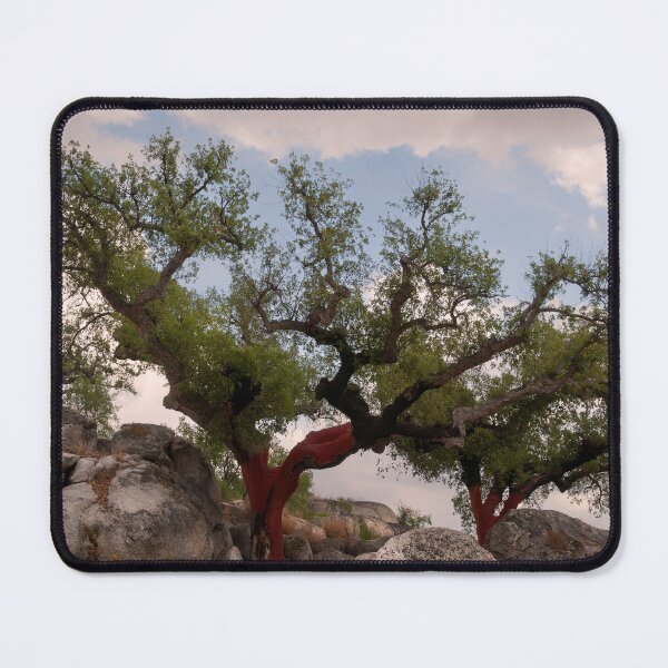 Item preview, Cork Trees, Marvao, Alto Alentejo, Portugal designed and sold by AndrewJonesFoto.