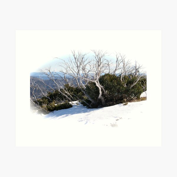 Item preview, phoenix snowgums designed and sold by jayview.