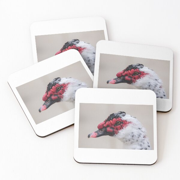 Item preview, Muscovy Duck Portrait (Domestic) designed and sold by CarolM.