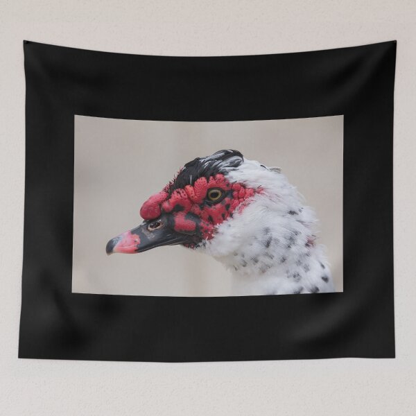 Item preview, Muscovy Duck Portrait (Domestic) designed and sold by CarolM.