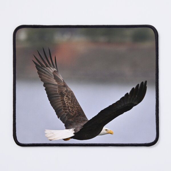 Item preview, Bald eagle p 1 designed and sold by Cblifeisgood.