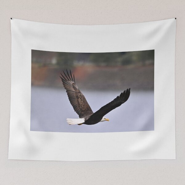 Item preview, Bald eagle p 1 designed and sold by Cblifeisgood.