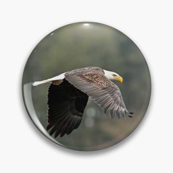 Item preview, Bald eagle p2 designed and sold by Cblifeisgood.