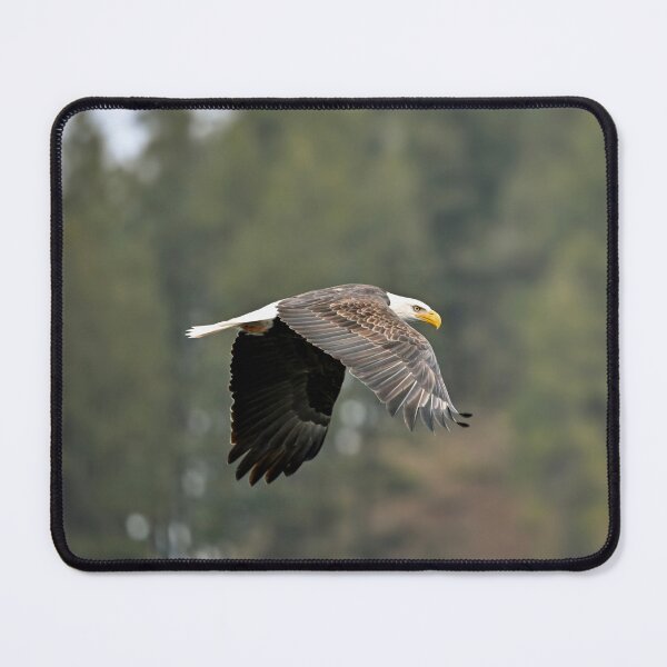 Item preview, Bald eagle p2 designed and sold by Cblifeisgood.