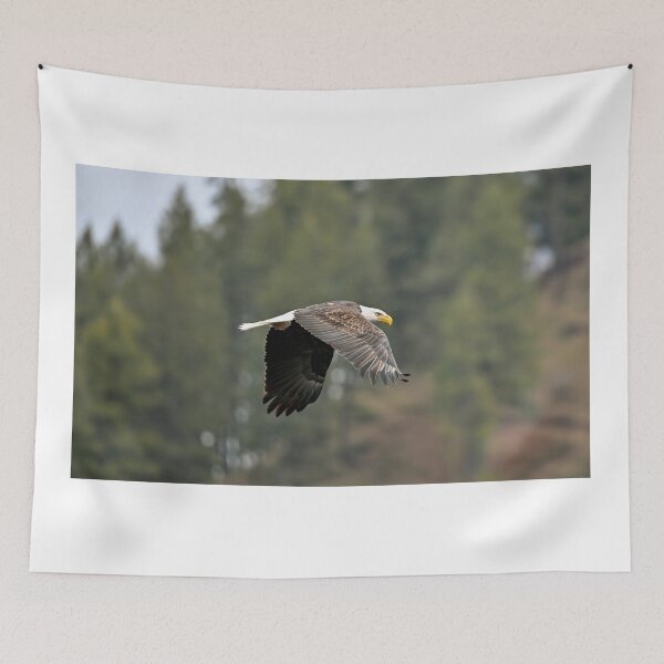 Item preview, Bald eagle p2 designed and sold by Cblifeisgood.