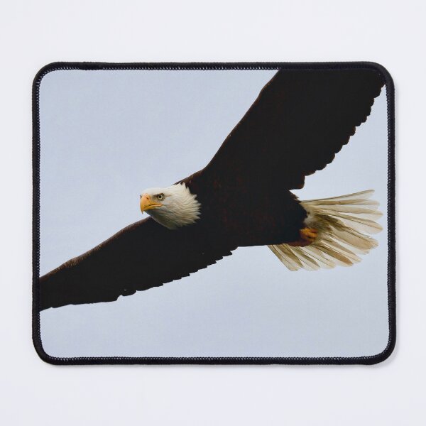 Item preview, Bald eagle p4 designed and sold by Cblifeisgood.