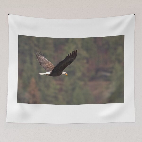 Item preview, Bald eagle p5 designed and sold by Cblifeisgood.