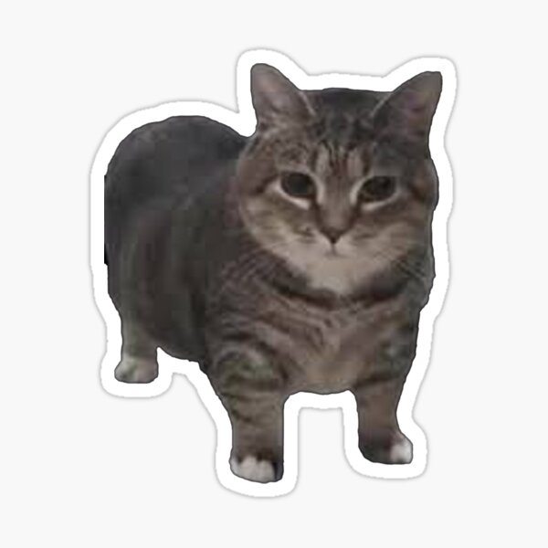 Vista previa del artículo con la obra «Hola gato», diseñado y vendido por shmeegle designs.