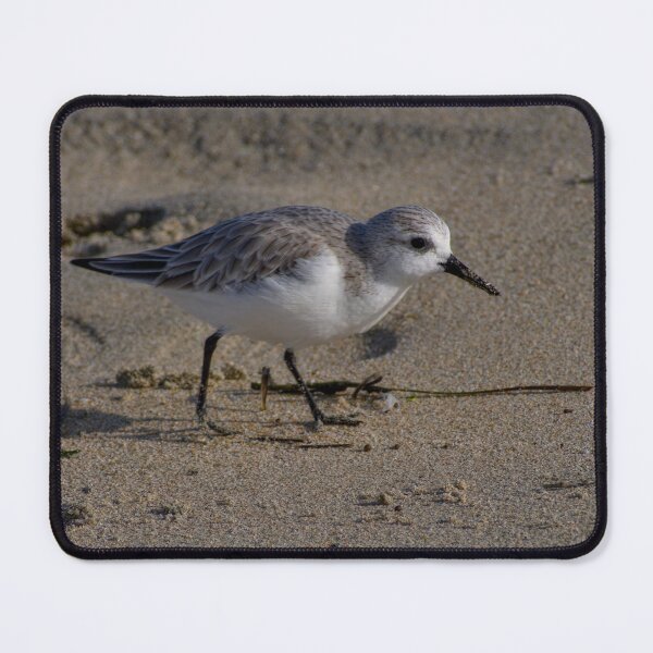 Item preview, Piper on beach designed and sold by Cblifeisgood.