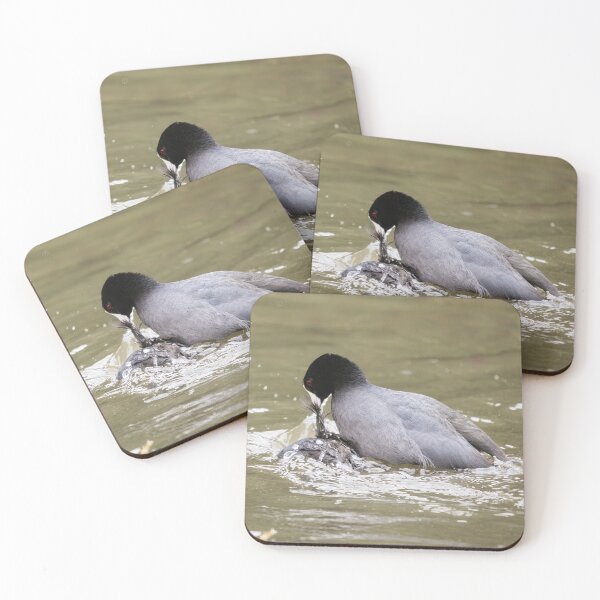 Item preview, American Coot Being Aggressive designed and sold by CarolM.