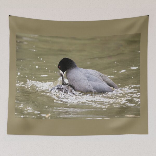 Item preview, American Coot Being Aggressive designed and sold by CarolM.