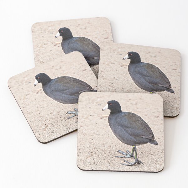 Item preview,   American Coot Showing Off Its Weird Lobed Feet  designed and sold by CarolM.