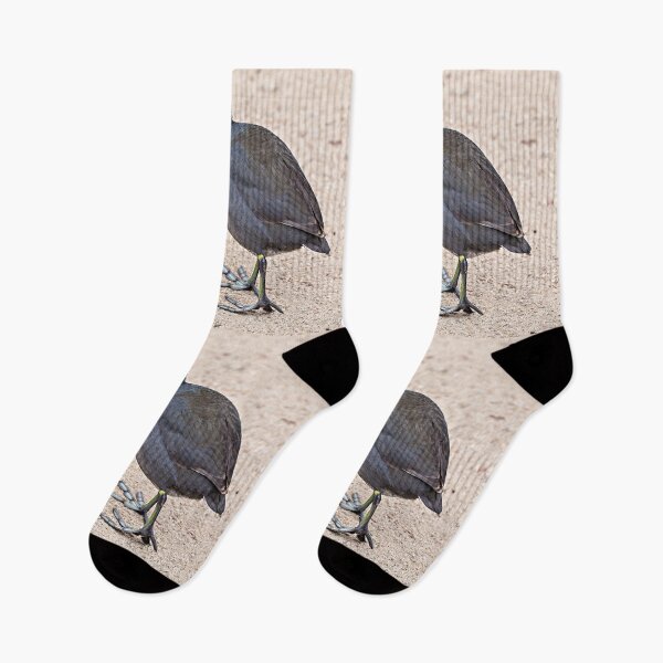 Item preview,   American Coot Showing Off Its Weird Lobed Feet  designed and sold by CarolM.