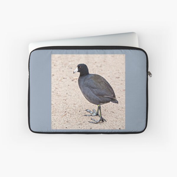 Item preview,   American Coot Showing Off Its Weird Lobed Feet  designed and sold by CarolM.