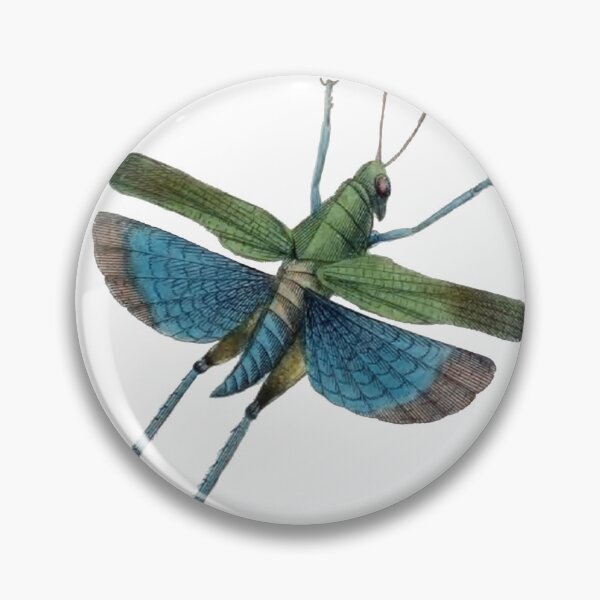 Item preview, Flying Grasshopper Illustration, Entomology Illustration  designed and sold by HawthorneFlame.