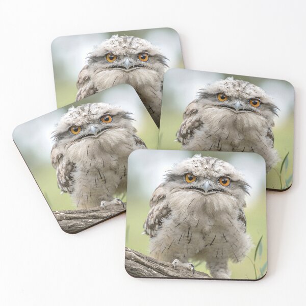 Artikelvorschau, Tawny Frogmouth Vogel entworfen und verkauft von pawprintz.