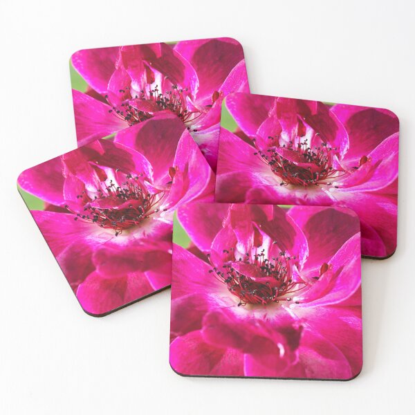 Item preview, The Elegant Burgandy Rose designed and sold by Joy Watson - Natural Light Photography .