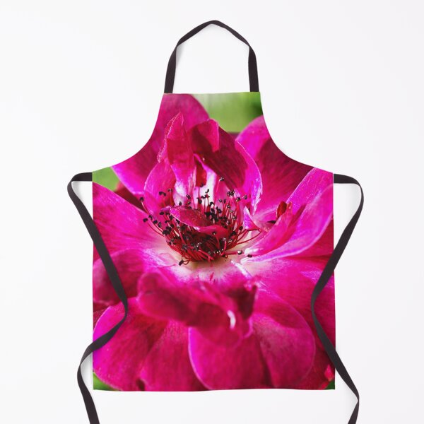Item preview, The Elegant Burgandy Rose designed and sold by Joy Watson - Natural Light Photography .