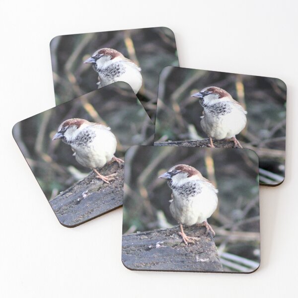 Item preview, house martin designed and sold by KathleenDawson.