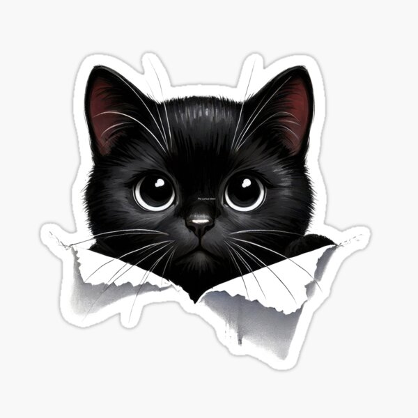 The curious kitten Sticker