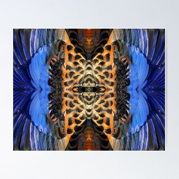 Rosella feathers at Magpie Springs by Adelaide artist Avril Thomas Poster