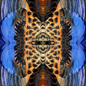 Artwork thumbnail, Rosella feathers at Magpie Springs by Adelaide artist Avril Thomas by MagpieSprings