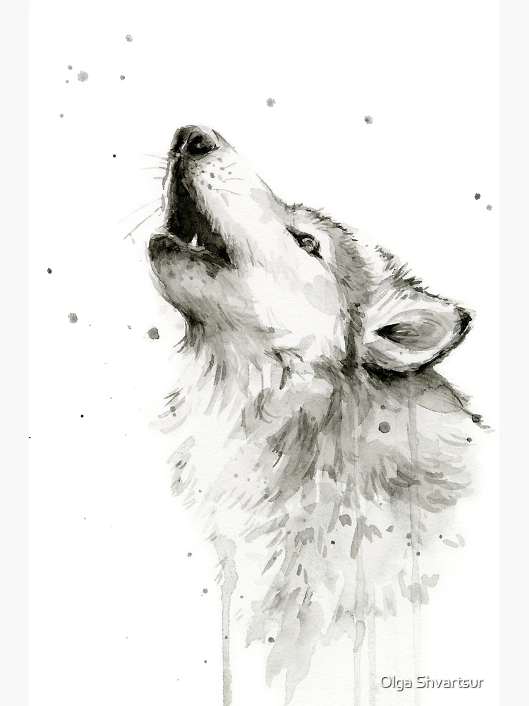 Howling Wolf Drawing Stock Photos - Free & Royalty-Free Stock Photos from  Dreamstime