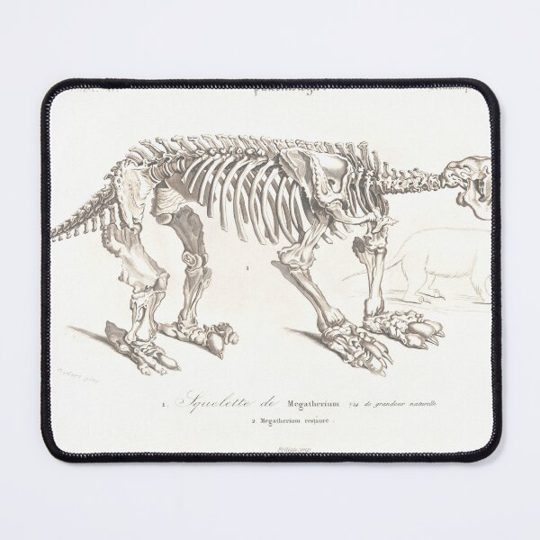 Item preview, Megatherium! designed and sold by Councilrock.