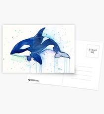 Killerwal Orca Aquarell Postkarten