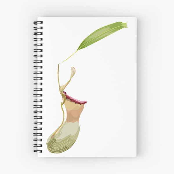 Item preview, Nepenthes, genus of carnivorous plants. Monkey cups exotic liana rainforest plant. designed and sold by MatyKotiv.