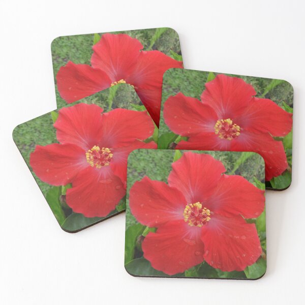 Artikelvorschau, Roter Hibiskus von Orikall entworfen und verkauft von HippieWorks.