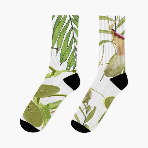 Item preview,  Jungle rainforest. Nepenthes, genus of carnivorous plants. Monkey cups exotic liana plant. designed and sold by MatyKotiv.