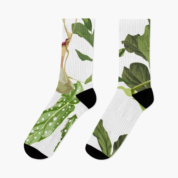 Item preview, Nepenthes, genus of carnivorous plants. Monkey cups exotic liana plant and tropical leaves.  designed and sold by MatyKotiv.