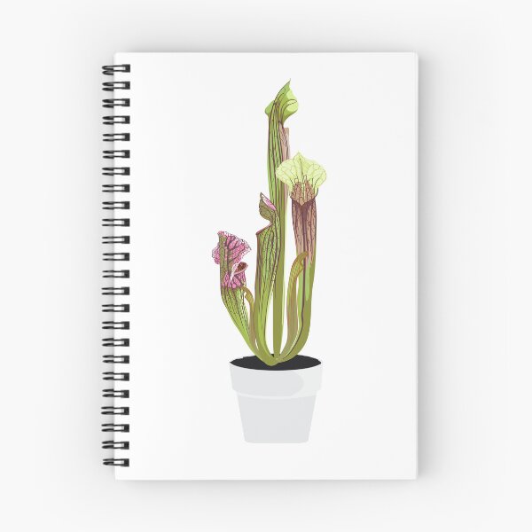 Item preview, Domestic Tropical Decorative plant Sarracenia with open trap. designed and sold by MatyKotiv.