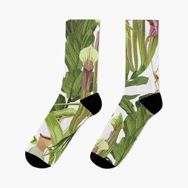 Item preview,  Jungle rainforest. Sarracenia, genus of carnivorous plants. Monkey cups exotic plant. designed and sold by MatyKotiv.