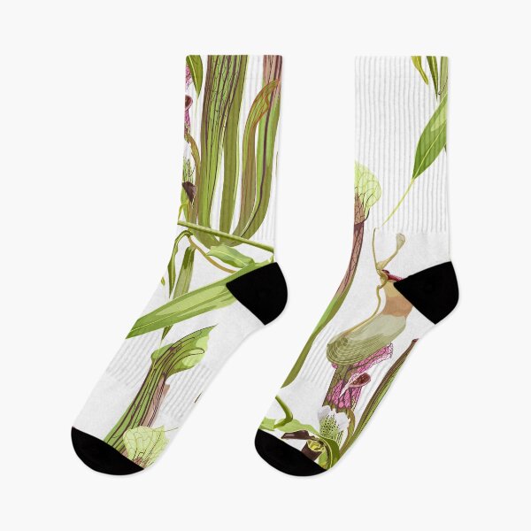 Item preview, Jungle rainforest. Sarracenia, genus of carnivorous plants and orchids. designed and sold by MatyKotiv.
