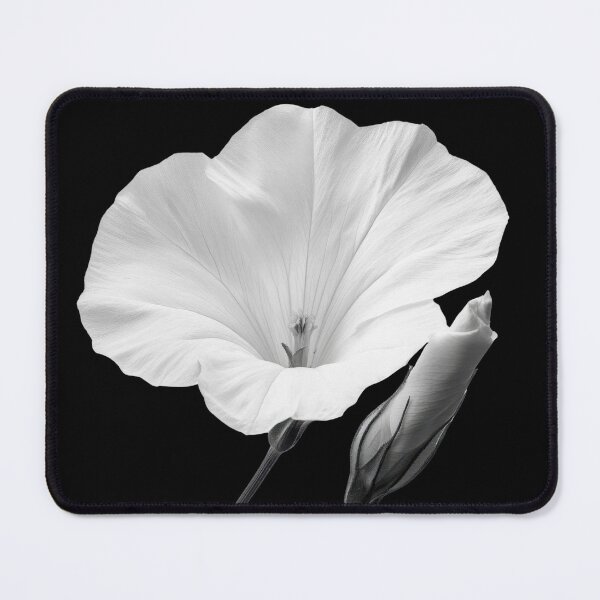 Item preview, Black and White Bindweed Flower v1 designed and sold by PiranhaEatFashion.
